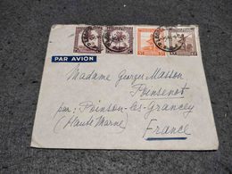 CONGO BELGE CIRCULATED COVER LEOPOLDVILLE TO FRANCE 1946 - Storia Postale