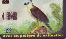 TARJETA TELEFONICA DE COSTA RICA. (CHIP). 10.00 AVES EN PELIGRO DE EXTINCIÓN, AGUILA CRESTADA. 036 - Arenden & Roofvogels