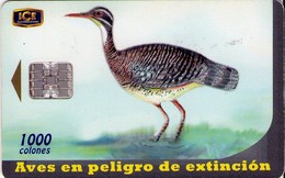 TARJETA TELEFONICA DE COSTA RICA. (CHIP). 10.00 AVES EN PELIGRO DE EXTINCIÓN, GARZA SOL. 037 - Costa Rica