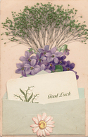 Carte à Système -Graminés- Ajoutis Gaufrée -violettes- Enveloppe Avec Carte "Good Luck" Et "Modeste Offrande Du Coeur" - Mechanical