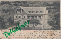 Bad Bergzabern, Erholungshaus Louisenruhe, Um 1904 - Bad Bergzabern