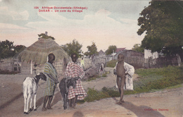 AOF,AFRIQUE,Sénégal,colonie,DAKAR,NDAKAROU,prés  Mauritanie,mali,guinée,gambie,enfant,  Village,futur éleveur,rare - Sénégal