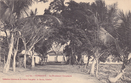 AFRIQUE,AFRICA,AFRIKA,guinée Française,CONAKRY,colonie ,cédée Par Les Anglais Aux Français En1891,boulevard Circulaire - Frans Guinee