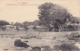 AFRIQUE,AFRICA,guinée Française,CONAKRY,colonie ,cédée Par Les Anglais Aux Français En1891,magasins,boulevard Circulaire - Französisch-Guinea