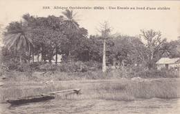 AOF,AFRIQUE,Sénégal,colonie,DAKAR,NDAKAROU,prés Mauritanie,mali,guinée,gambie,1916,bord De Rivière,pirogue,brousse - Senegal