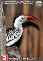 605 Riverview Park & ZOO, CA - Red-billed Hornbill (Tockus Erythrorhynchus) - Peterborough