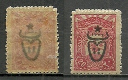 Turkey; 1917 Overprinted War Issue Stamp 20 P. ERROR "Offset Overprint On Back" - Unused Stamps