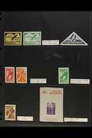 ROCKET MAIL 1932-61 ALL DIFFERENT MINT COLLECTION Presented On A Stock Page. Each Item Identified By Ellington - Zwisler - Other & Unclassified