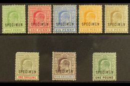 1902-6 Ed VII Set To £1, Wmk CA, Overprinted "Specimen", SG 62s/70s, 71s, Very Fine Mint. Scarce Set. (8 Stamps) For Mor - Other & Unclassified