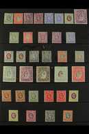 EAST AFRICA & UGANDA PROTECTORATES 1903-1921 MINT COLLECTION Presented On Stock Pages. Includes 1903-04 CA Wmk Range To  - British East Africa