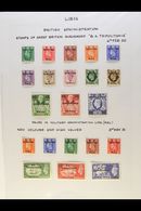 TRIPOLITANIA A Complete "Postage" Issues Collection With 1948 "BMA" Overprints Complete Set, 1950 "B A" Overprints Compl - Afrique Orientale Italienne