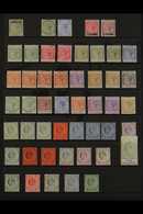 1886-1951 MINT COLLECTION CAT £2300+ A Delightful Collection Presented On Stock Pages With Many Shade, Perf & Watermark  - Gibraltar