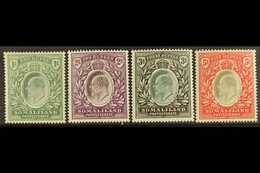 1904 1r, 2r, 3r, And 5r Definitive Top Values, SG 41/44, Very Fine Mint. (4 Stamps) For More Images, Please Visit Http:/ - Somaliland (Protectorat ...-1959)