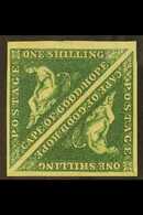 CAPE OF GOOD HOPE 1855 1s Deep Dark Green, SG 8b, Superb Mint Square Pair With Large Margins All Round, Brilliant Colour - Ohne Zuordnung