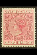 NATAL 1874 5s Rose, SG 72, Very Fine And Fresh Mint. For More Images, Please Visit Http://www.sandafayre.com/itemdetails - Non Classificati