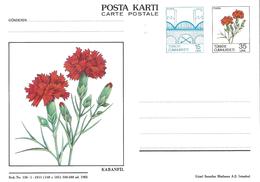 Turquie Tükiye Entier Postal, Ganzsachen, Postal Stationery Carte Postale Postkarte - Postwaardestukken