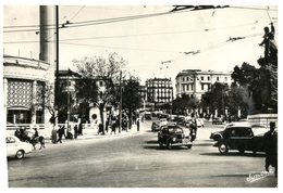 (ORL 505) Old Postcard -Algeria - Constantine - Avenue Liagne - Chlef (Orléansville)