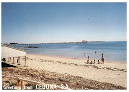 (80) Australia (with Stamp) - SA - Ceduna - Other & Unclassified