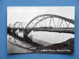 Cartolina Badia Polesine - Ponte Sull'Adige - 1957 - Rovigo