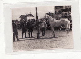 Delcampe - Ukraine Russia Real Photo SPORT HORSE. Exhibition - Reitsport