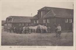 Allemagne - Ludwigswinkel - Militaire - Camp - Ecuries - Dahn