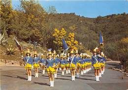 06-CANNES- MAJORETTES DE CANNESDANS LES MIMOSAS - Cannes