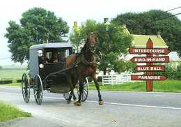 Amish Country : Amish Seasons Panneaux Indicateurs - Lancaster