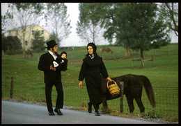Amish Country : Amish Seasons En Route Vers L'église - Lancaster