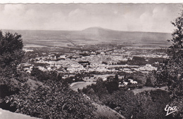 AFRIQUE,ALGERIE,BLIDA,EL BOULEIDA,ville Des Roses,pied De L'ATLAS TELLIEN,260m D'altitude,rare - Blida