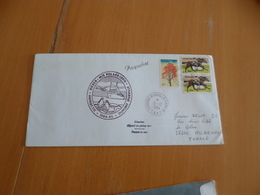 Lettre Cachet Dumont D'Urville T.Adélie T.A.A.F. 15/12/1984 Avec TP Australien Et Cachet Australie Griffe Paquebot - Sonstige & Ohne Zuordnung