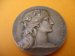 Médaille/République Française/Offert Par Mr André MARIE Député  Seine Maritime/Bronze/ H DUBOIS/Vers 1955-60      MED217 - Francia