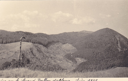 LE GRAND BALLON D'ALSACE EN JUIN 1938,88,VOSGES,VUE AERIENNE,CHAMP DE GENTIANE,FORET,PHOTO ANCIENNE,CANNE - Places