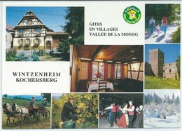 Wintzenheim-Kochersberg-Gite Rural-Chambre D'hôte-Mr Et Mme Michel Stutzmann-Multi-vues (CPM) - Wintzenheim