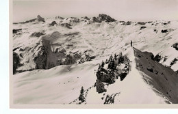 Flumsberg Blick Vom Prodkamm Gegen Spitzmeilen - 1941 - Berg