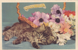 Carte Postale Ancienne,chat,cat,bonne Fete,fleurs,beaux Yeux - Katzen