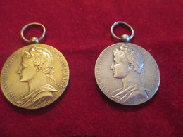 2 Médailles Du Travail /R F/Ministère Du Travail Et De La Sécurité Sociale/PICHON/Argent Et Or/Années 1950        MED213 - Frankreich
