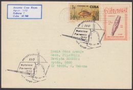 1991-CE-38 CUBA 1991 SPECIAL CANCEL. 110 ANIV NACIMIENTO DE FERNANDO ORTIZ. ETNOLOGIA. - Brieven En Documenten