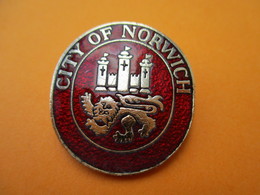 Insigne à épingle / City Of NORWICH/Comté De Norfolk /Angleterre/ Bronze Cloisonné émaillé/ Vers 1990 ?       MED221 - Grande-Bretagne
