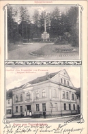 Gruss Aus TREUENBRIETZEN Gasthof Zum Kronprinz Von Preussen Belebt 22.9.1910 Gelaufen - Treuenbrietzen