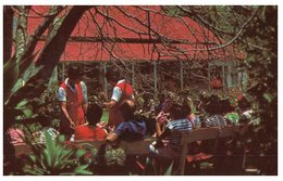 (60) Australia -  Norfolk Island Morning Tea Marie's Tour (cut Down In Size) - Norfolk Island