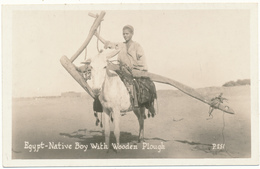 EGYPTE - Native Boy With Wooden Plough - Canadian Pacific Cruise - Persons