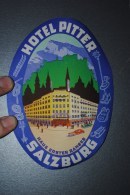 Ancienne étiquette D'hôtel Ou De Valise HOTEL PITTER SALZBURG Autriche - Etiquettes D'hotels