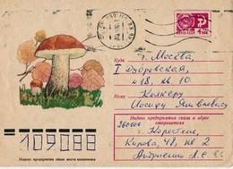 Entier  Postal Russe, Voyagé Champignon Mushroom Setas Champignons Pilze - Funghi