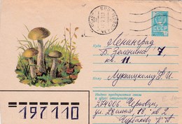 Entier  Postal Russe, Voyagé Champignon  Mushroom Setas Champignons Pilze - Funghi