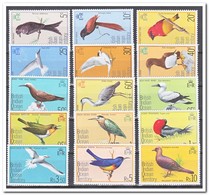 British Indian Ocean Territory 1975, Postfris MNH, Birds - Territorio Británico Del Océano Índico