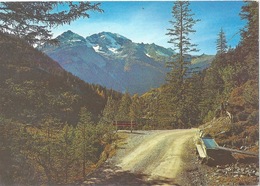 Bergün - Blick Aus Dem Val Tuors Auf Piz D'Ela             Ca. 1970 - Bergün/Bravuogn