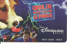 PASS-µ-DISNEY-1999-DISNEYLAND-PARIS-CHERIE J AI RETRECI-V°SPEOS-99/02/HOA -VALIDE 1 JOUR -V°Parme Foncé-TBE - Disney Passports