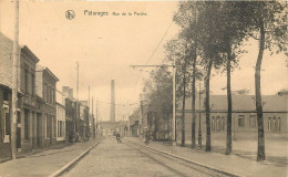 BELGIQUE - PATURAGES - Rue De La Perche - Colfontaine