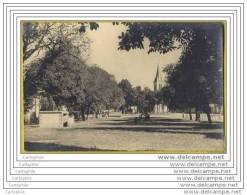 79 - BRIOUX SUR BOUTONNE - Le Champ De Foire (carte Photo) - Brioux Sur Boutonne