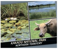 (654) Australia - (with Stamp) - NT - Kakadu - Kakadu